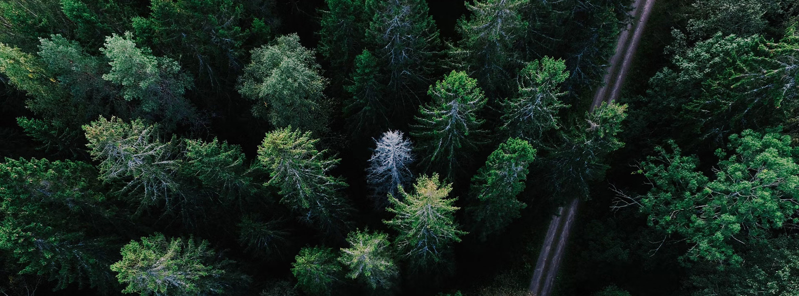 شرکت فناوری (گروه) نساجی جیانگ سو شیانگی با مسئولیت محدود.